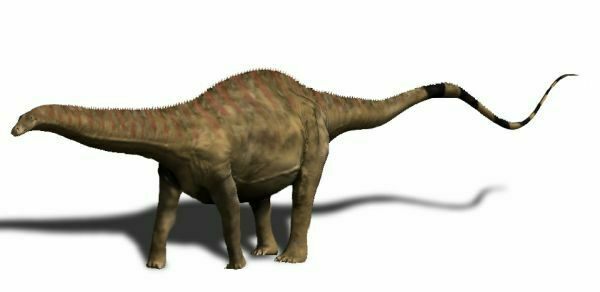 An artists reconstruction of Rebbachisaurus.